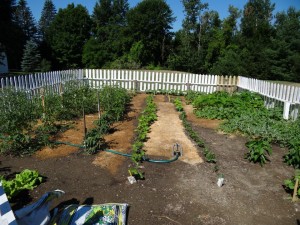 Original Works community garden