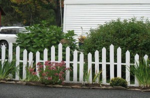 using pallets for a fence