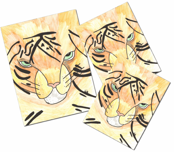 Custom Personalized Magnet Package - Image 5